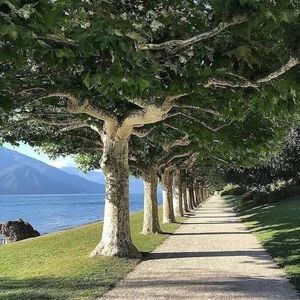 Meet your Posher, Lucero